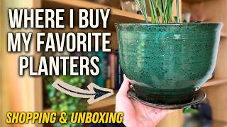 This Is My Favorite Place To Buy Planters Online | Sprout Home Shopping & Unboxing