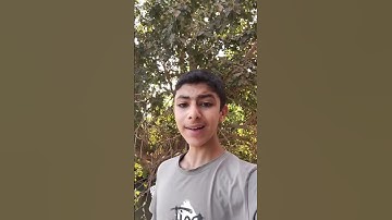 لا أقسم بهذا البلد... قرآن كريم
