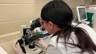 VETT222 Task 16 Fecal Direct Smear