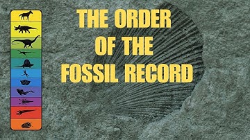 The Order of the Fossil Record