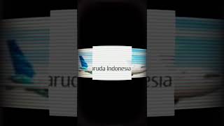Garuda indonesia Evolution 1940-2026 (Present) #garudaindonesia #windows #edit