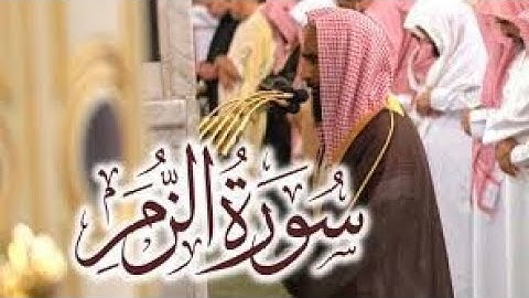تلاوة بهيّة لـ سورة الزمر كاملة بصوت الشيخ أحمد بن طالب حميد   من فجريات الحرم النبوي