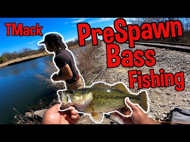 Finally Caught More Than One Fish! Fishing For Pre-Spawning Bass (Oklahoma  Fishing) 