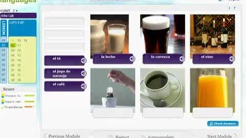 Using the Activities in Gale