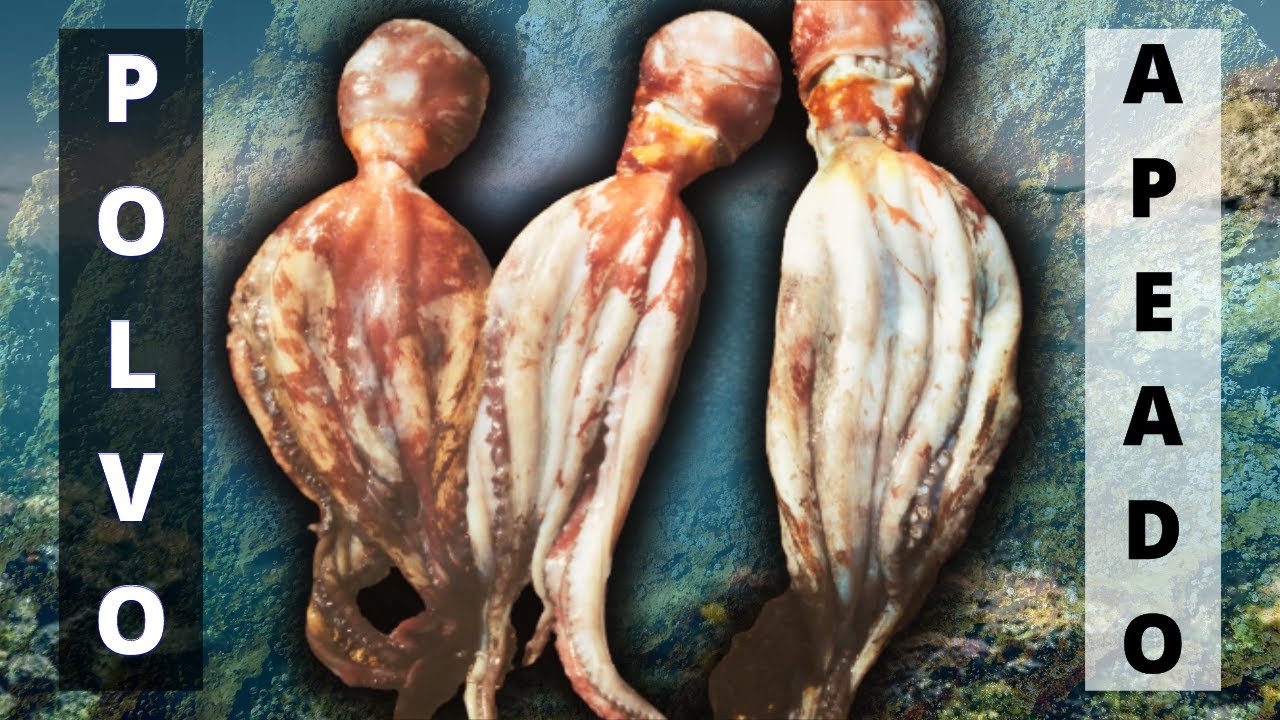 Пешая рыбалка на осьминога # 3 (самый маленький 1,2 кг, самый большой 2 кг)