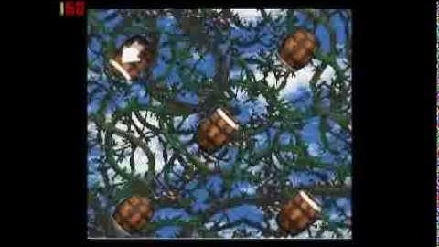 Donkey Kong Country 2 102% Walkthrough Part 4 - Brambles!