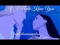 If I Never Knew You - Pocahontas Cover Duet w/ MithrilCipher