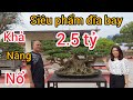 siêu phẩm đĩa bay chủ nhân báo giá khoảng 2.5 tỷ tại triển lãm Ninh Bình có khả năng nổ sớm