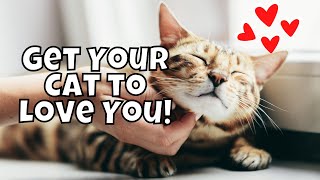 10 Scientifically Proven Ways to Get a Cat to Love You