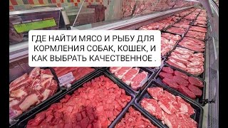 ГДЕ НАЙТИ МЯСО И РЫБУ ДЛЯ КОРМЛЕНИЯ СОБАК, КОШЕК, И КАК ВЫБРАТЬ КАЧЕСТВЕННОЕ .