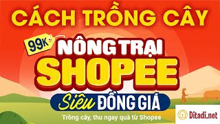 Game Nông trại Shopee ở đâu? Mẹo chơi để nhanh thu hoạch