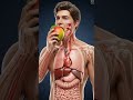 #shortvideo #pregnant #bodybuilding #body #animation #athletes #baby #bodybuilders #video #funny