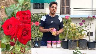Top 5 Flowering Booster Plants Fertilizer, NPK 12 61, NPK 19 19 19, NPK 00 50, NPK 0 52 34, NPK 0 50