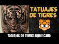 TATUAJES de TIGRES / significado y ranking / Golden Tattoo