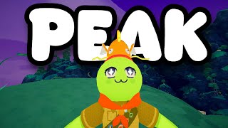 THIS GAME IS ABSOLUTE PEAK... (Peak)