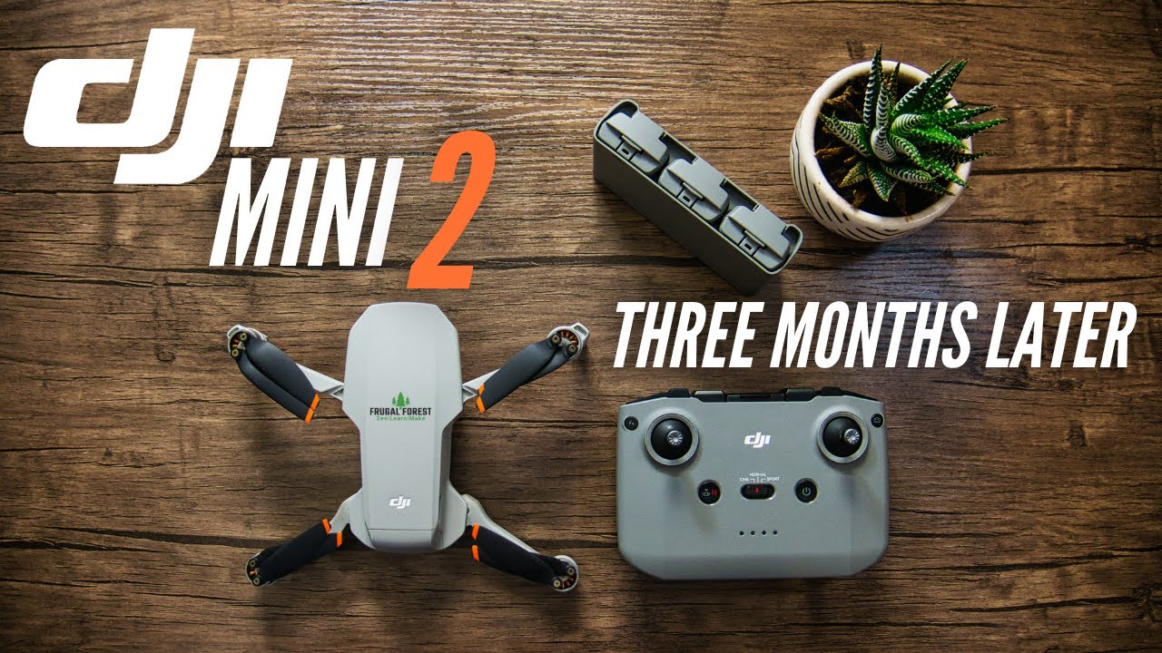 DJI MINI 2 | Three Months Later | Review & 4k Footage