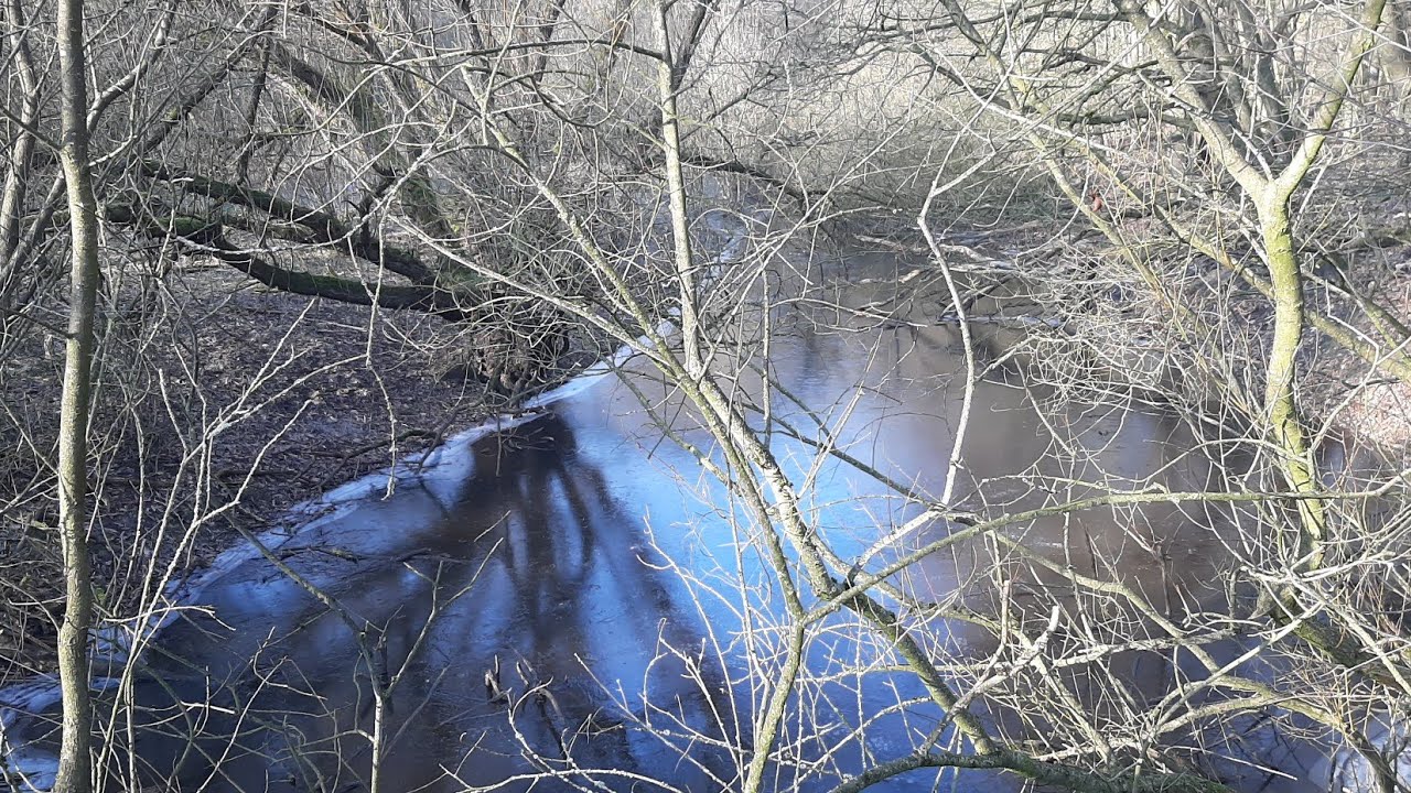 Das Kind beim Namen nennen #8