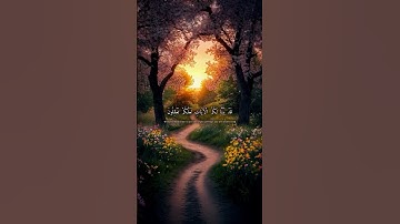 سورة الحديد✨عبد الباسط عبد الصمد✨ #اكسبلور #tiktok #duet #لايك #دويتو #قرآن #حالات_واتس #قران_كريم