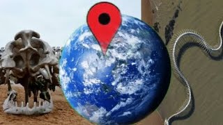 World largest snake scaleton found on Google Earth/map 🌎 #wtf #amazing #mysterious #youtube