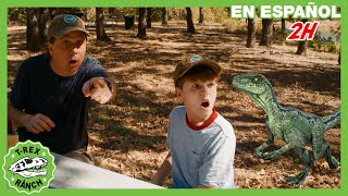 Desafío de aventuras en el Parque de Dinosaurios | Videos de dinosaurios y juguetes para niños