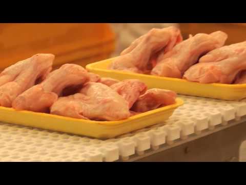 Video: Kā Pagatavot Sirsnīgu, Sourthern Spēles Putnu Pīrāgu Pārtika Un Dzērieni