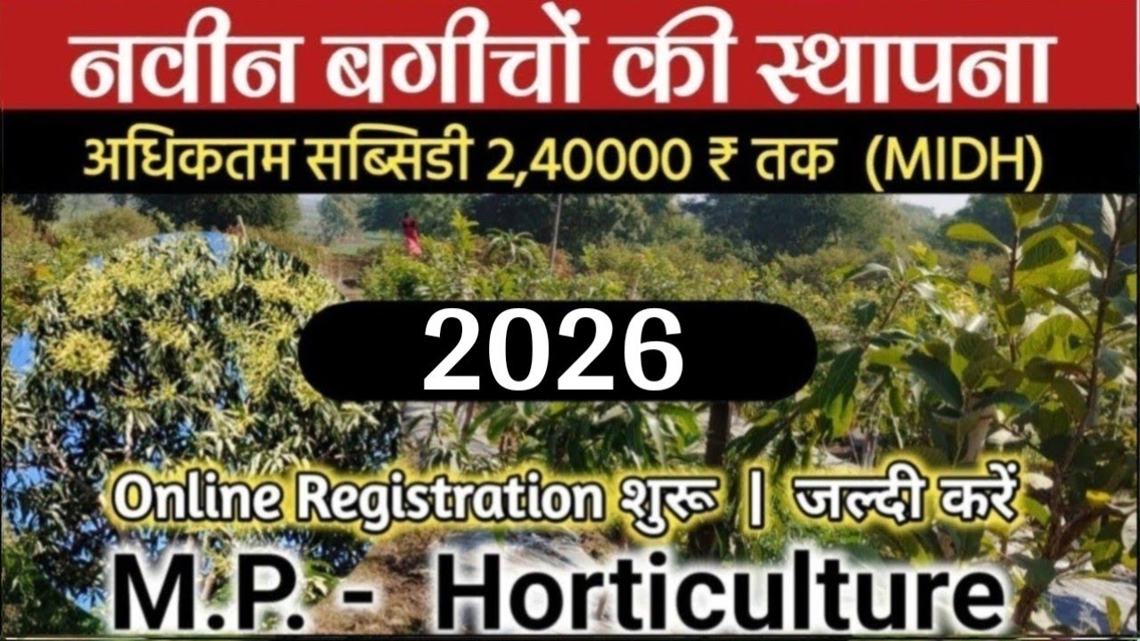 नया बगीचा लगाने पर सरकार दे रही लाखों की सब्सिडी | Orchard | MP Horticulture Scheme | Plantation