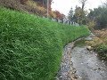 Filtrexx Sustainable Solutions for Bank and Slope Restoration