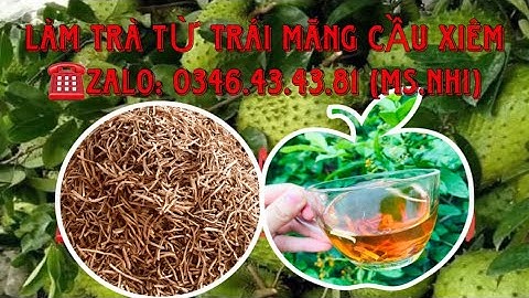 Cách Sấy Trái Mãng Cầu Xiêm Để Làm Trà Mãng Cầu