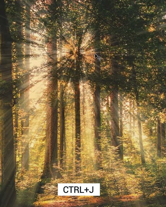 How to Create Realistic Sun Rays in Photoshop - Tutorial ! #shorts #photoshop