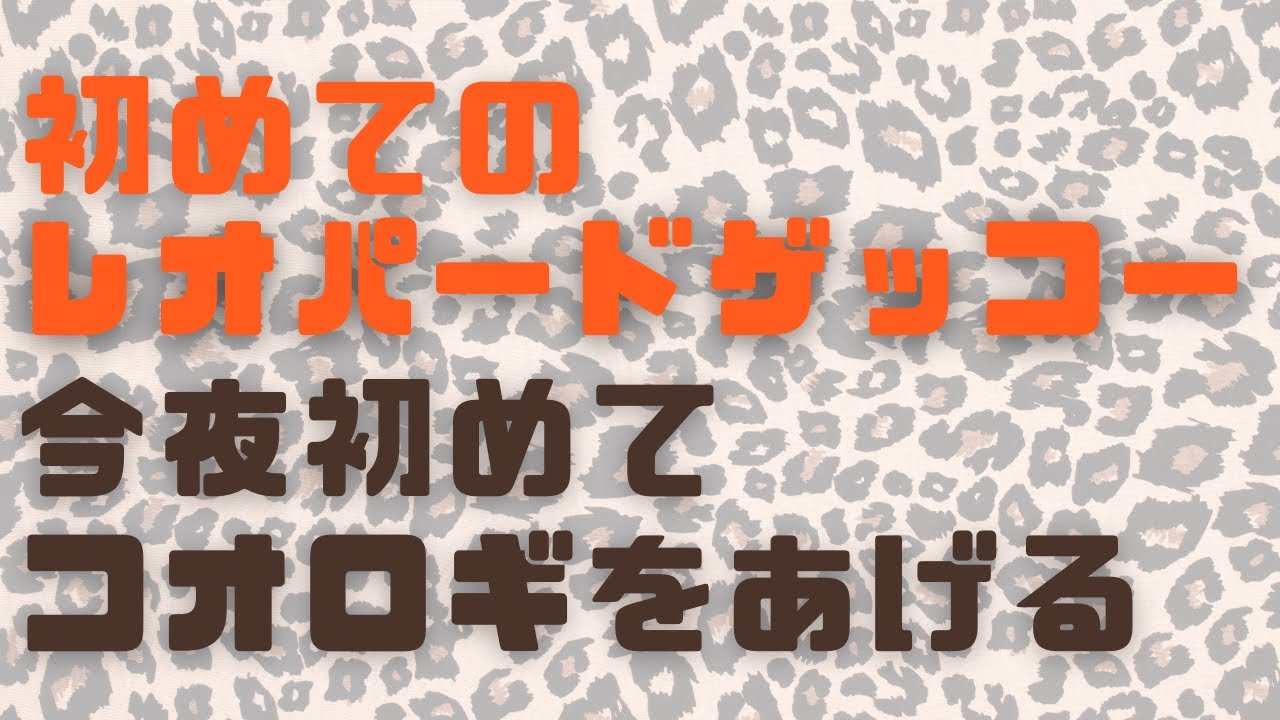 初めてのレオパに 初めてコオロギをあげる