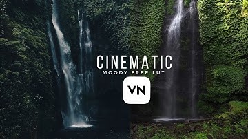 Moody VN lut free || Moody colour grading