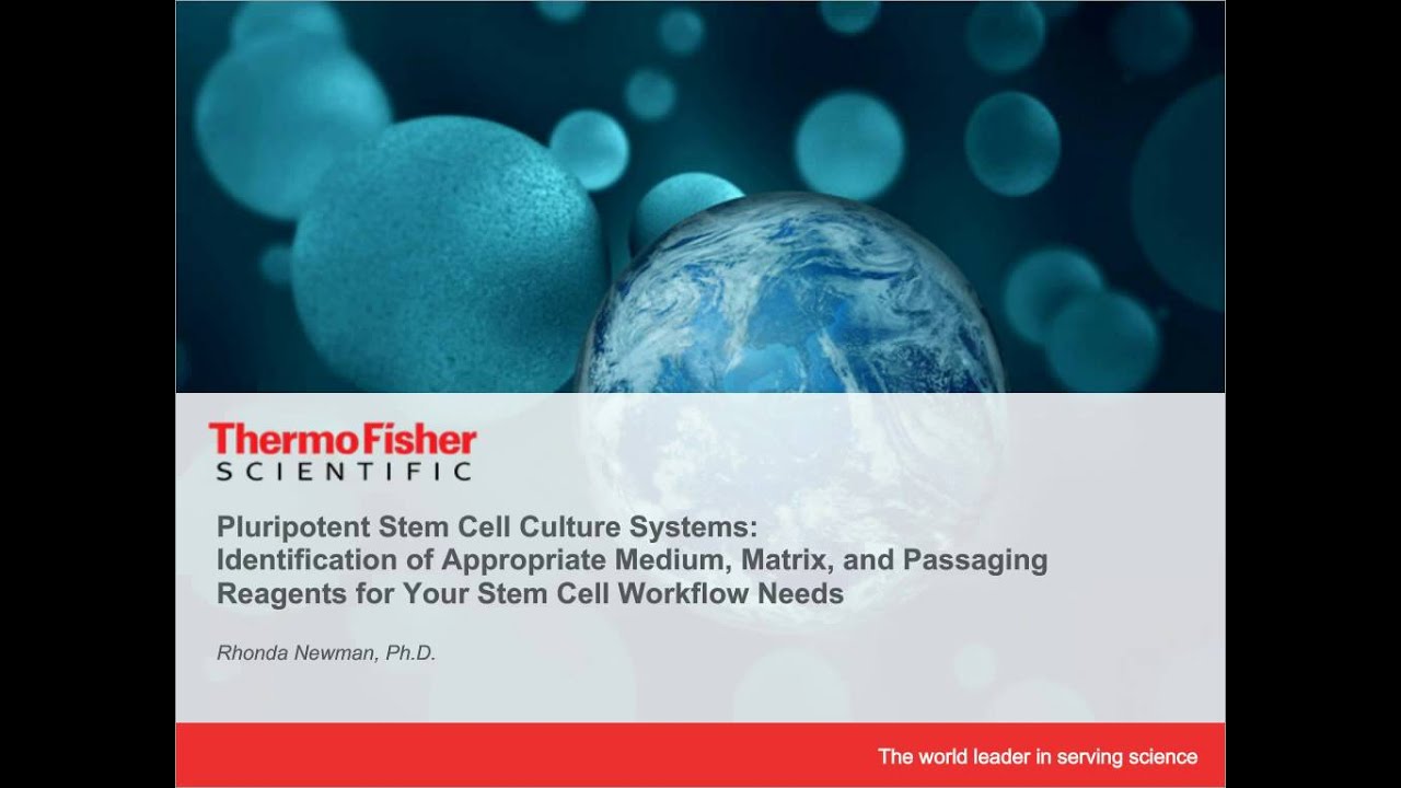 Pluripotent Stem Cell Culture Systems: Identifying appropriate tools