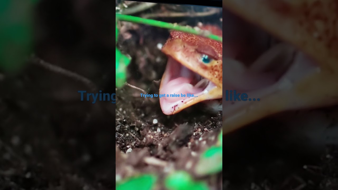 trying to get ahead at work