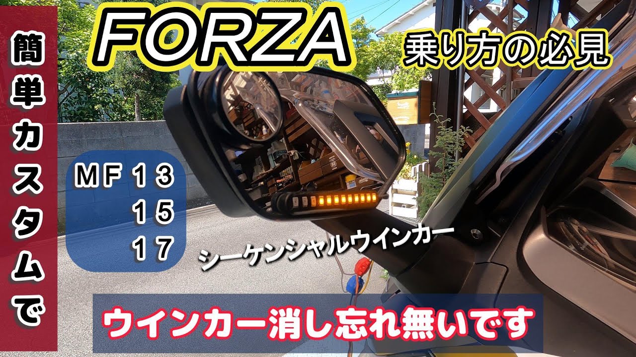 FORZA owners! A must-see! An easy custom modification to prevent