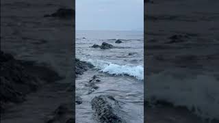 【23 11 10】【自然音】夕方の海辺の岩場　5