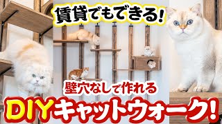 【賃貸DIY】自作キャットウォークの作り方を紹介材料と費用公開音声解説あり