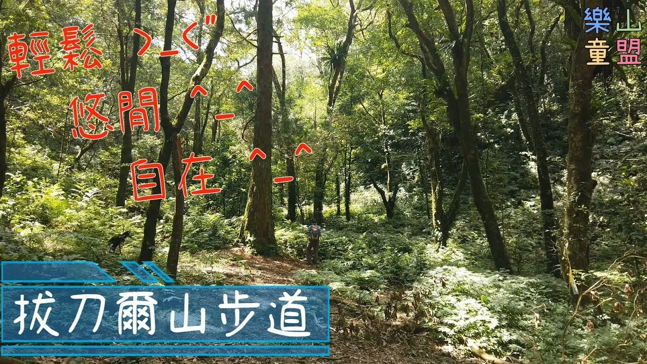 [新北烏來] 拔刀爾山步道(保慶宮-拔刀爾山-高腰山-美鹿山) / Baoqing Temple,Badaoer Mountain,Gaoyao Mountain,Meilu Mountain