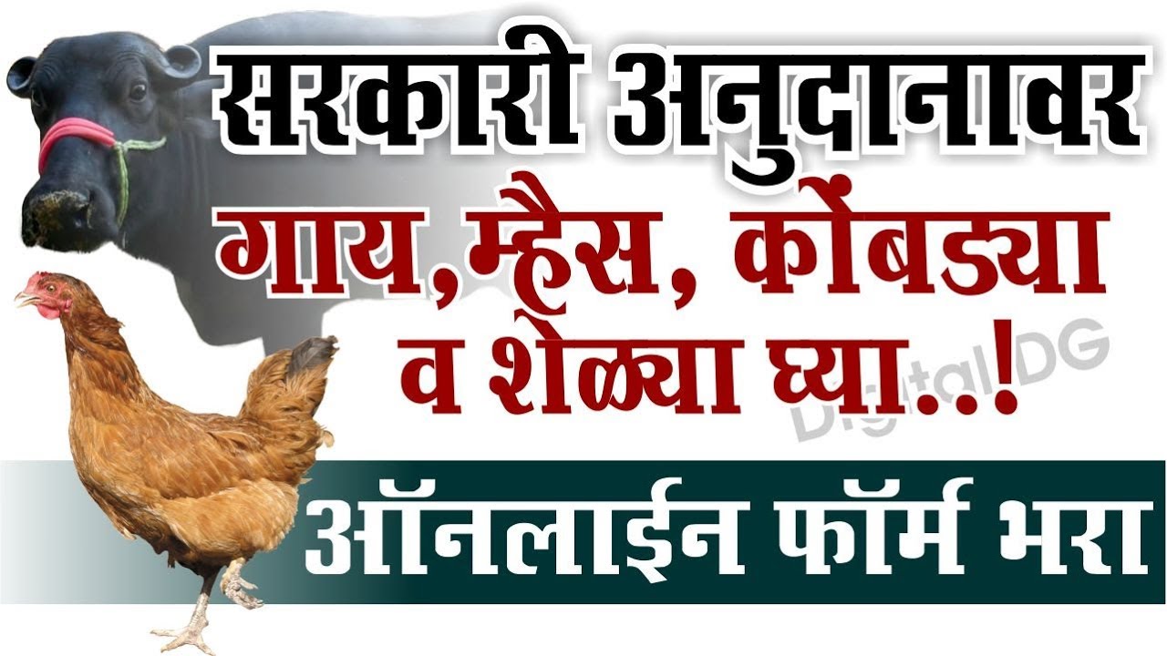 goat-farming-scheme-in-maharashtra-sheli-palan-online-application