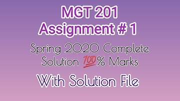 MGT201 Assignment 1 Solution Spring 2020 || Beginning Future