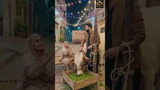 Mandi Ka Sab Se Bada Bail Aa Gaya! 🐂🔥 | Qurbani 2026 Special
