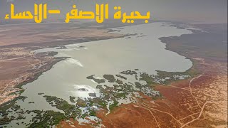 بحيرة الاصفر | الاحساء Al-Asfar Lake