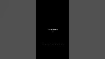 سورة التحريم| آيه﴿٨﴾#quran #راحة_قلبك #رآحة_نفسية_وطمأنينة #ماهر_المعيقلي