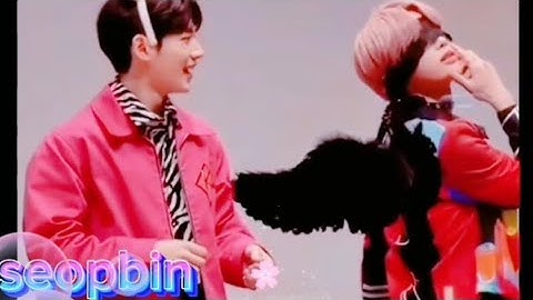 TEMPEST (seopbin đôi bạn già dễ thương )#tpst #tempest #kpop #hanbin_tempest #hyeongseop