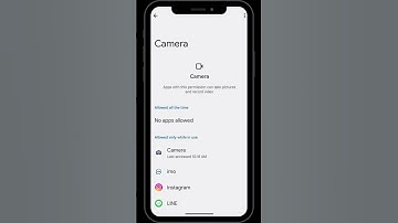 How to enable camera permission for TheOneSpy application?