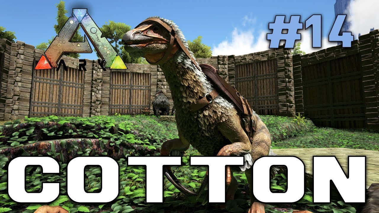 ark survival evolved admin commands Let's See How This Pans Out For Him Cotton! | Ark: Survival Evolved | Season 1 Episode 14