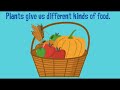 Understanding Plant-Based Foods