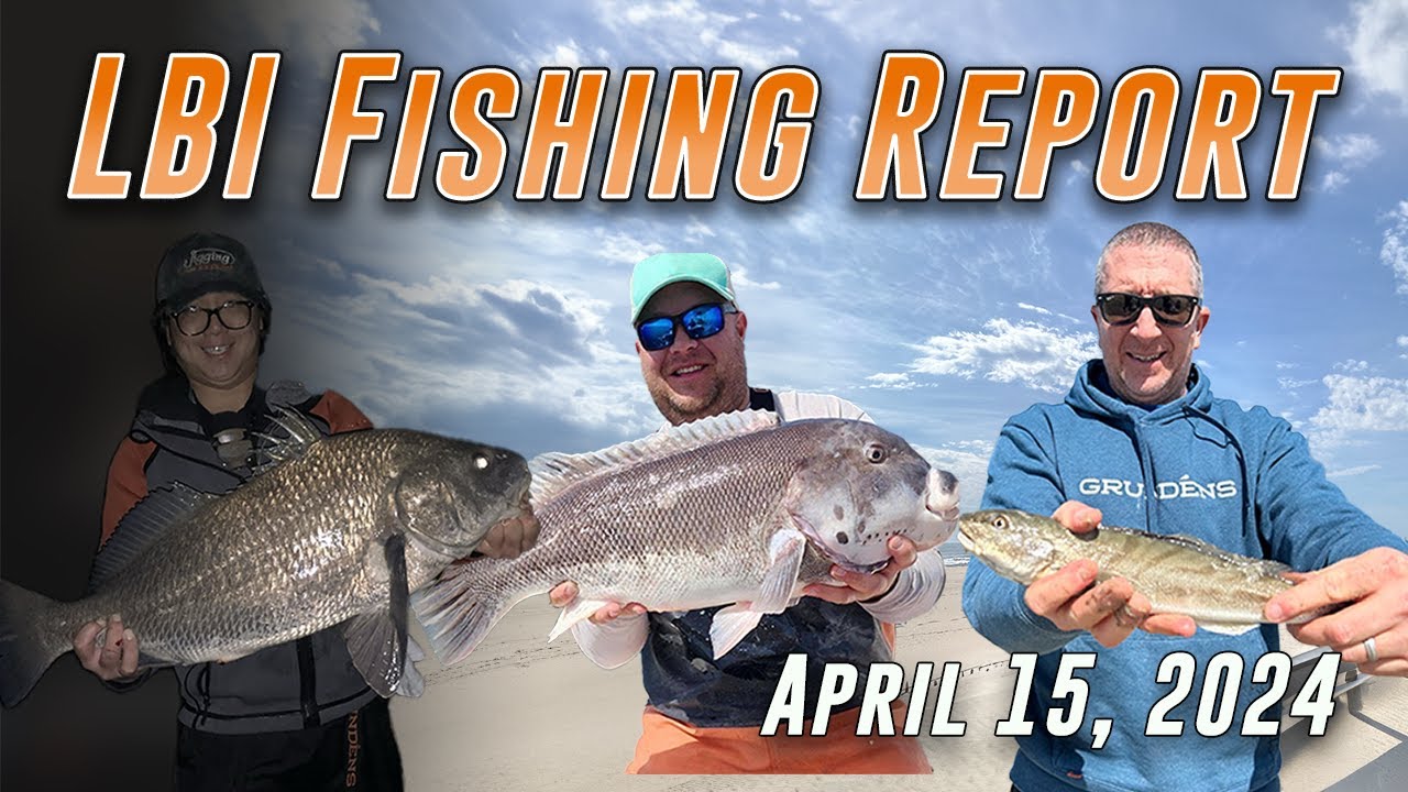 LBI NJ Fishing Report - LBI's Premier Fishing Report By