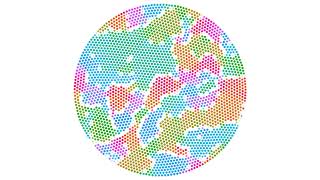 Celebrity V0056 Evolution of crystal grains in Lloyd relaxation Net Worth