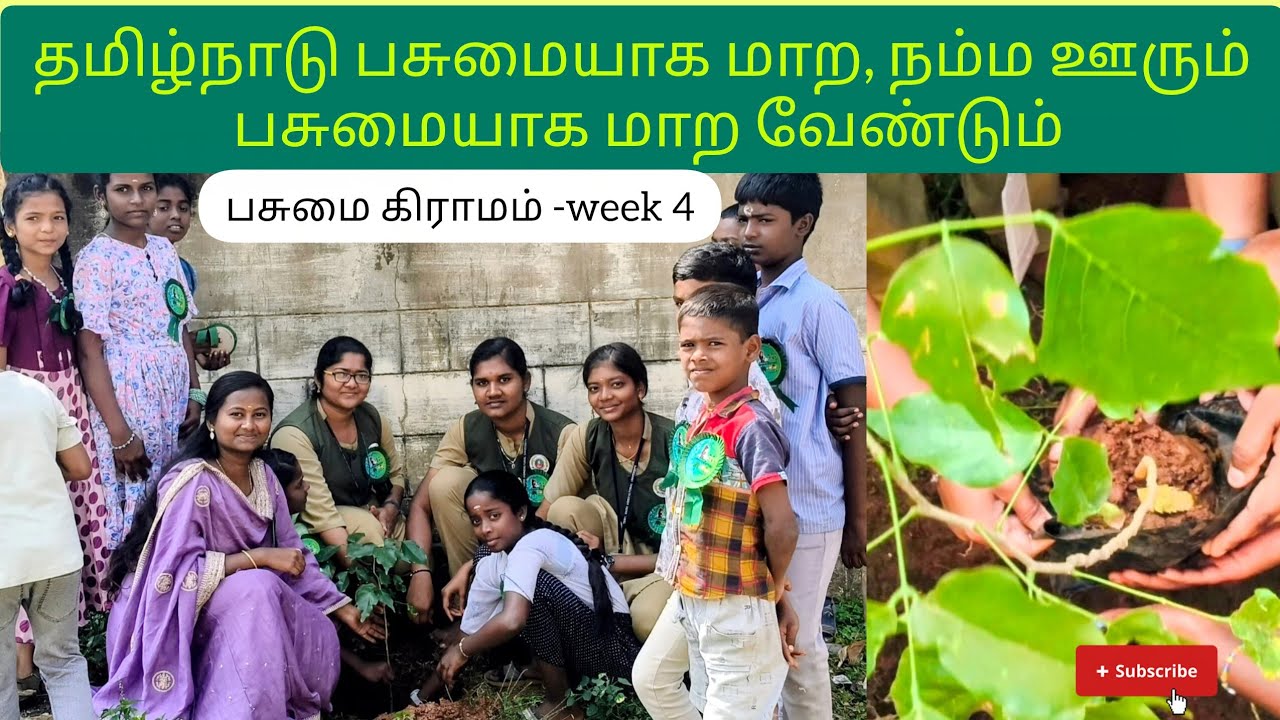 Small hands big change 🌱 🌍4th Week with our students 💚 