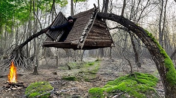 Building a Flying Treehouse Is a Reliable Way to Survive a Wild Boar Den